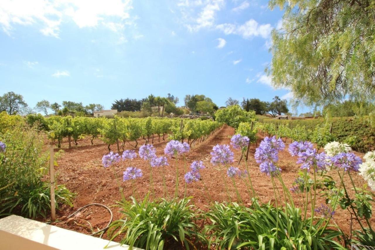 Horta Nova Villa Lagos Exterior photo